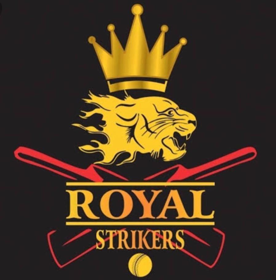 team logo